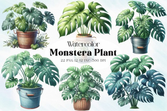 Download Monstera Plant Clipart - Premium Resources
