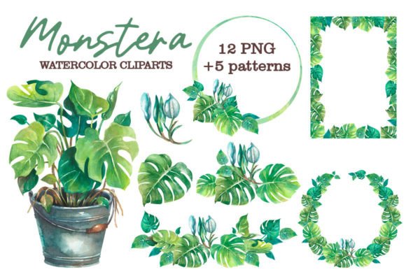Download Monstera Watercolor Clipart - Premium Resources