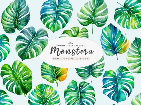 Download Greenery Monstera Leaves Clipart - Premium Resources