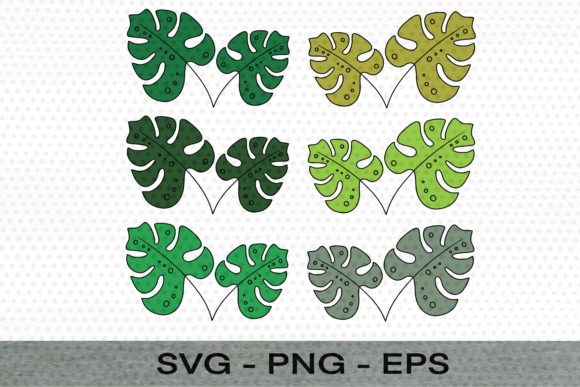 Download Monstera Leaves Color&nbsp; - Premium Resources